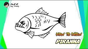 What's the best way to draw a pirahna? How To Draw A Piranha Step By Step Youtube