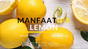 Kehamilan & menyusui, masa kehamilan, tips,. Manfaat Air Lemon Untuk Kehamilan Bidan Kita