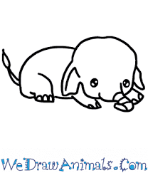 How to draw cute african animals. How To Draw A Cute African Elephant
