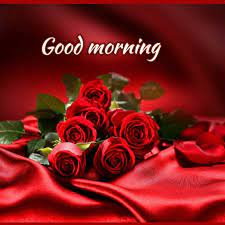 Here are only the best good morning wallpapers. Red Rose Romantic Good Morning Images Red Roses Rose Good Morning Images