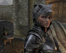 Does Anyone Else Just Love Farkas? I Love How He Breaks The Cookie Cutter  Mold Of Most Guild Members Like Vex, Njada, Arnborjn Etc Treating You Like  Nothing Or Being Hostile When