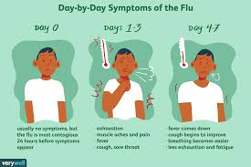 Symptoms Of Swine Flu Swine Flu H1n1 Flu Symptoms 2019 10 28