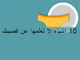 10 اشياء لا تعلمها عن قضيبك safe sex