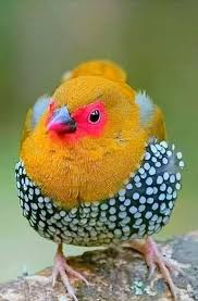 Rafaela Solorzano (rafaelacsolorzano)