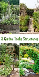 21 Easy Diy Garden Trellis Ideas Vertical Growing Structures Diy Garden Trellis Garden Trellis Garden Structures