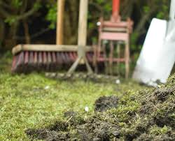 Maybe you would like to learn more about one of these? How To Rid Your Lawn Of Moss Lawn Solutions Australia