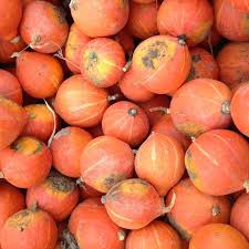 Https Arlettevilard Com 2018 10 28 Cueillette Dautomne Cueillette Legumes Automne Citrouille