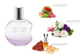 Written by frontman kurt cobain, the song addresses people outside of the underground music community who did not understand the band's message. Essential Garden Eau De Parfum In Bloom 30 Ml Dauerhaft Gunstig Online Kaufen Dm De
