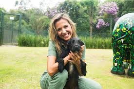 No texto, luisa mell culpa bolsonaro. Luisa Mell E Detonada Depois De Agradecer A Bolsonaro Por Lei Contra Maus Tratos Jornal O Sao Goncalo On Line