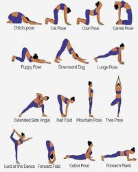 Pin By Stephanie Carroll On Training Fitness Yoga Postures Yoga Poses Yoga Poses For Beginners