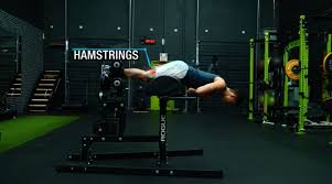 the best push pull legs routine for
