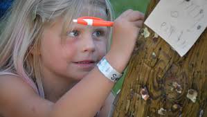 Race to praise at Lifest