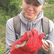 Lea Koch's Instagram, Twitter & Facebook