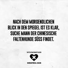 Nach Dem Morgendlichen Blick In Den Spiegel Ist Es Klar Suche Mann Der Chinesische Faltenhunde Suss Findet Visual Statements Witzige Spruche Spruche Lustige Spruche