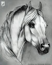 Trouvez des images de stock de cheval en ornement en hd et des millions d'autres photos, illustrations et images vectorielles de stock libres de droits dans la collection shutterstock. Epingle Par Shelly Perry Sur Laminas Variadas Tete De Cheval Dessin Peinture Cheval Art A Theme Cheval