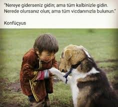 Mehmet Guc Adli Kullanicinin Benim Dunyam Panosundaki Pin Goruntuler Ile Cok Sirin Hayvanlar Ev Kopekleri Yavru Kopek
