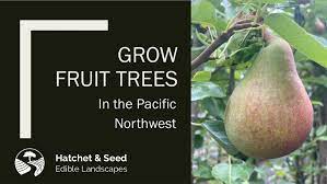 2021 ** fruit & nut tree list: Growing Fruit On Southern Vancouver Island Grow Your Own Edible
