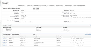 Data Integration Specialist Challenge 9 Salesforce Developer Community