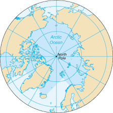 Baby animals from the arctics. Arctic Ocean Wikipedia