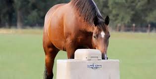 For the past 4 days i have had to defrost the ice in the bucket and refill it with fresh water. 5 Best Automatic Livestock Horse Waterers Horsey Hooves