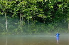.in branson waterskiing & jetskiing in branson fishing charters & tours in branson stand up paddleboarding in branson. 12 Top Rated Trout Fishing Lakes Rivers In Missouri Planetware