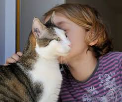 pin on pet