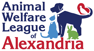 Check spelling or type a new query. Alexandria Animals Animal Welfare League Of Alexandria Awla