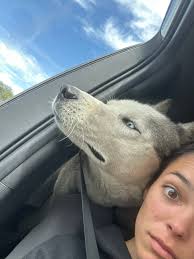 Thank you Mandy Lu and Pyramid Vet!