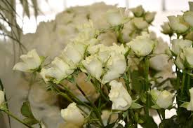 Inviare fiori bianchi è sempre la scelta giusta ! I Fiori Da Regalare Alla Comunione Centrotavola E Composizioni
