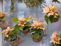Well you're in luck, because here they come. Using Burlap In The Garden