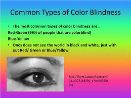 This is not a severe form of color blindness and is the most common type. Ppt Color Blindness Powerpoint Presentation Free Download Id 5714704