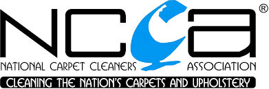 The best part about our carpet cleaning service is you get to choose the cleaning package that you want. Carpets Upholstery In Plymouth Executive Cleaning Services Sw Ltd Plymouth Carpet Upholstery Cleaning And Protection Services In Plymouth And South Devon