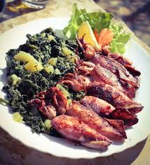 Food Food House Zrmanja