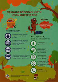Правила безопасности, если идете в лес | Горецкий райисполком