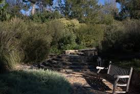 Walcott Garden Canberra Mallee Design Australian Native Garden Native Garden Australian Garden Design