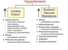 Pathophysiologyofatherosclerosis Atherosclerosis