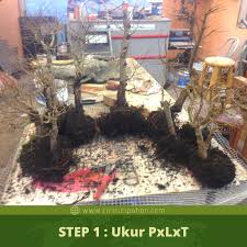 Cara Bikin Pot Bonsai Unik Handmade Lengkap Dengan Gambar Ciriciripohon Com