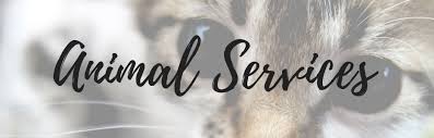 If you cannot afford our low cost services, there are some groups who may be able to help. Spay Neuter Program Municipality Of Leamington