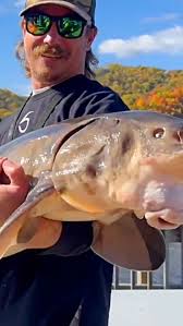 Can you folks believe this specimen of a lady married me 730 days ago? I  wouldn't either, but I have proof. Hopefully marriage licenses don't  expire.🤞🏻#OutOfMyLeague