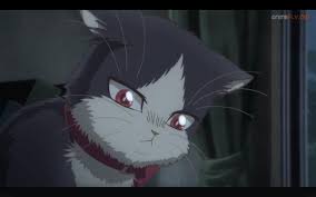 Pin By Robin On Dragon Cat Anime Cat Dragon Cat Anime
