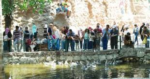 وزارة الزراعة تكشف حقيقة زيادة قيمة تذكرة دخول حديقة الحيوان بالجيزة اليوم السابع