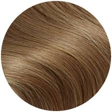 Light Ash Brown Tape In Hair Extensions Glam Seamless Glam Seamless Hair Extensions