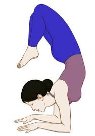 In Vrschikasana Vrichika Stands For Scorpion Word Vrchika Is Taken From Sanskrit And Meaning Of Asana Is Pose Seat Scorpion Pose Yoga Challenge Poses Poses