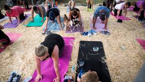 Top yoga & pilates in naples, fl. Where To Practice Yoga In Naples Bonita Springs Fort Myers