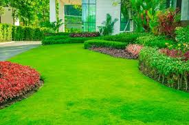 Lawn mowing grass should be mowed to a height of 2 to 2.5 inches before lawn aeration and overseeding. Preparing New Lawns Flowerland Home And Garden Iver Bourne End Buckinghamshire