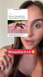 Dengue disease in LA california from a mosquito bite. #lanews #mosquito  #dengue #denguefever #dengueawareness #californianews #californiamosquitos  #mosquitos #yellowmosquito
