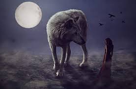 In fact, wolves do not howl at the moon at all, but rather at each other to. Royalty Free Moon Wolf Photos Free Download Pxfuel