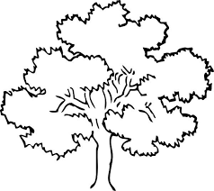 This fall tree coloring sheet will have your child breaking out his orange, red and yellow color pencils. Awesome Drawing Oak Tree Coloring Page Jpg 600 533 Tree Coloring Page Oak Tree Drawings Coloring Pages