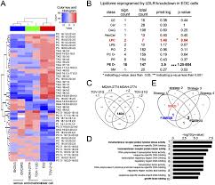 Homestyle renovation maximum mortgage worksheet. Ldlr Mediated Lipidome Transcriptome Reprogramming In Cisplatin Insensitivity In Endocrine Related Cancer Volume 27 Issue 2 2020