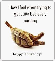 This is a special video regarding thursday inspiration quotes and giving you the thursday morning quotes.the images are collected from legal. 80 Funny Thursday Memes Images Pictures Photos